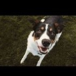 AustinNiesha Berner - Instagram Profile Picture of AustinNiesha Berner (@austinniesha) on Instagram