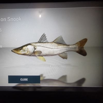 Profile Picture of Kevin Krouse (@KevinKrouse5) on Twitter