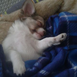 Profile Picture of Agron Marku (@agron.marku.946) on Facebook