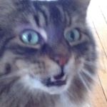 Profile Picture of Matthew Stefanov (@matthew_stefanov) on Instagram