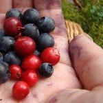 Profile Picture of Felix (@felixlyonsdown2) on Instagram