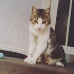 Profile Picture of Melanie Wee (@mappsiii) on Instagram