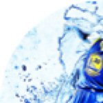 Profile Picture of David Tippins (@tippins_savage) on Instagram