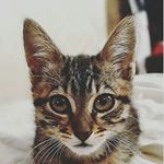 Profile Picture of SEBASTIÁN  Melo (@melosebastiann) on Instagram