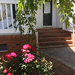 Profile Picture of Robin Bell (@rbell0522) on Flickr