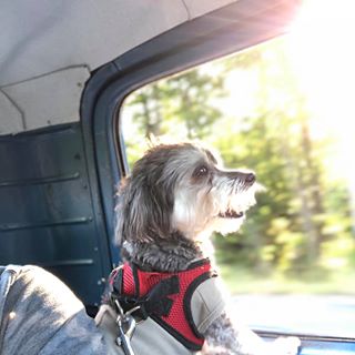 Profile Picture of Eddie Claridy (@eddie.claridy) on Facebook