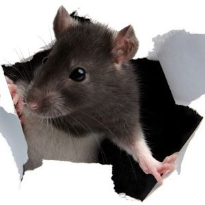 Profile Picture of Carly Richardson (@dollar_sigh) on Myspace