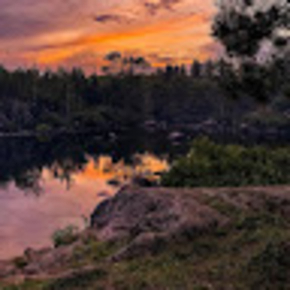 Profile Picture of Elsa Freeman (@elsa_freeman) on Poshmark