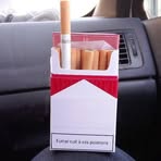 Profile Picture of Heidi Michael (@Heidi-Michael) on Facebook