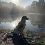 Profile Picture of Bertie Morris (@bertie.morris._) on Instagram