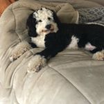 Profile Picture of Captain Scott Graichen (@adventures.with.captain) on Instagram