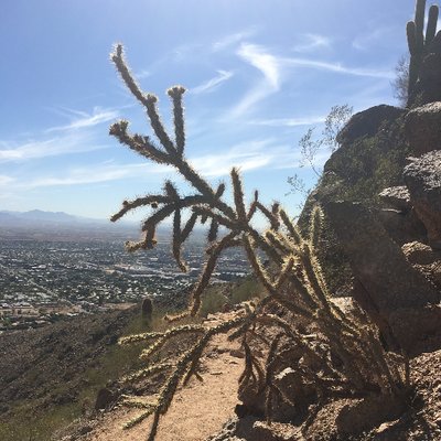 Profile Picture of Matthew Terpstra (@mattterp) on Twitter