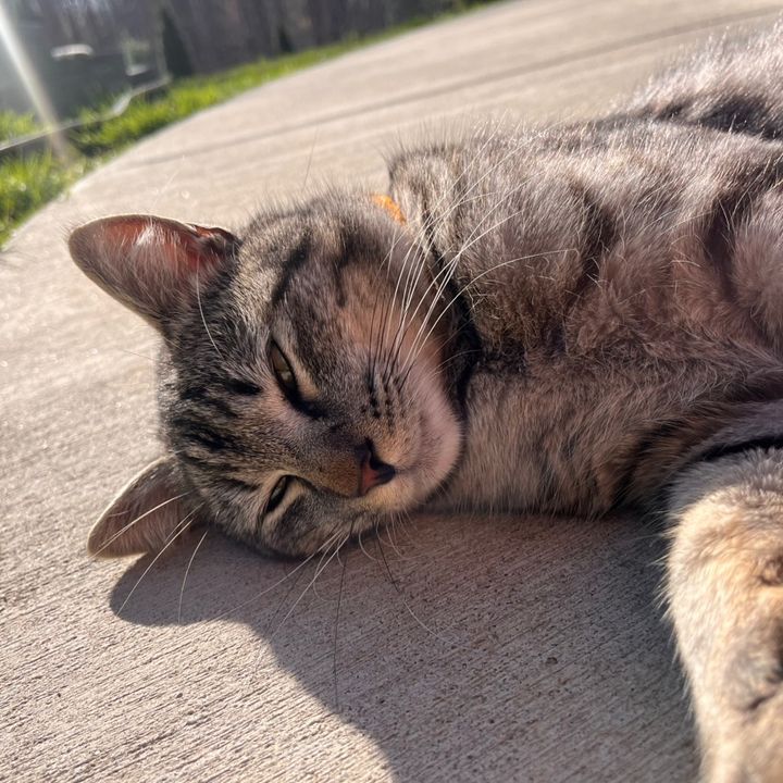 Profile Picture of davidkovalch_kk (@davidkovalch_kk) on Tiktok