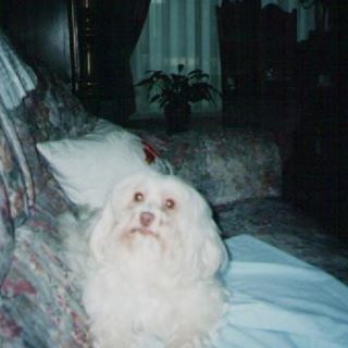 Daniel Hochart - Facebook Profile Picture of Daniel Hochart (@daniel.hochart) on Facebook