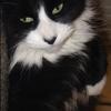 Profile Picture of Aimee Richards (@@aimee_richards) on Tiktok