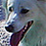 Profile Picture of Robert Kemp (@simplybob) on Flickr