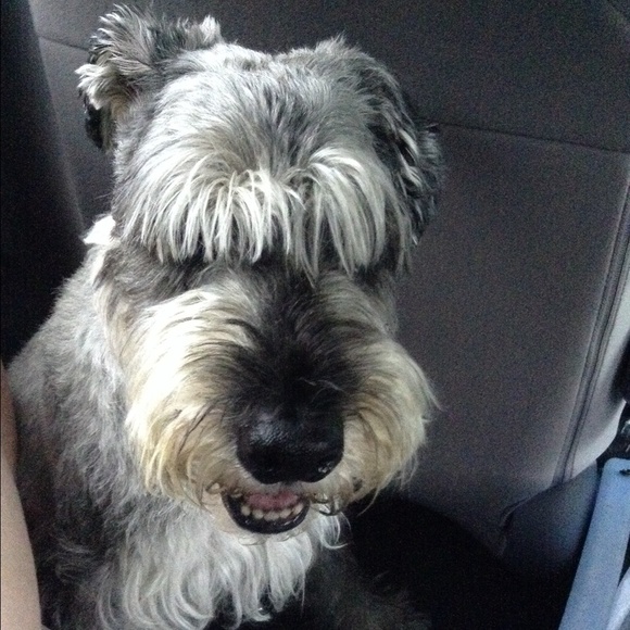 Profile Picture of Maya Wolf (@discworld) on Poshmark