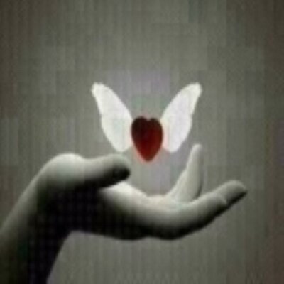 Profile Picture of Edith Cohen (@cohenfe) on Twitter