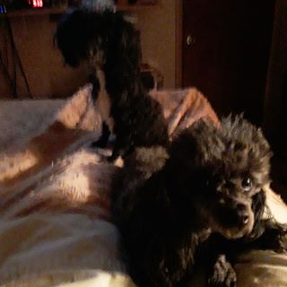 Profile Picture of Kevin Walters (@Kevin-Walters) on Facebook