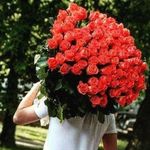 Profile Picture of ЦВЕТЫ ДОНЕЦК|МАКЕЕВКА Ростов-на-Дону|Санкт-Петербург (@helen_flowers.dpr) on Instagram