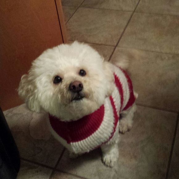 Profile Picture of Annette Toomey (@annettet28) on Poshmark