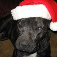 Brian Fone - Quora Profile Picture of Brian Fone (@brian-fone-2) on Quora