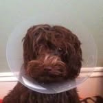 Richard Verney - Instagram Profile Picture of Richard Verney (@richardverney) on Instagram