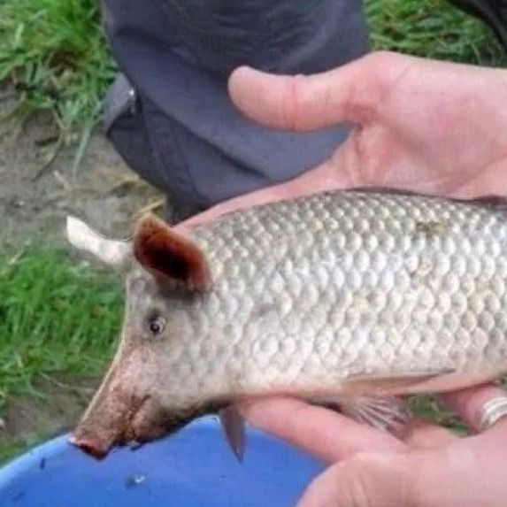 Profile Picture of derrick lenders (@derricklenders113) on Tiktok