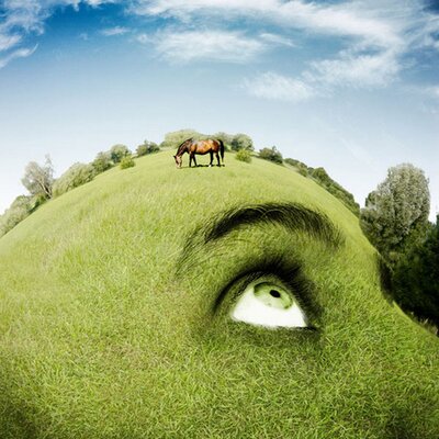 Profile Picture of John Frisby (@JohnFrisby1) on Twitter