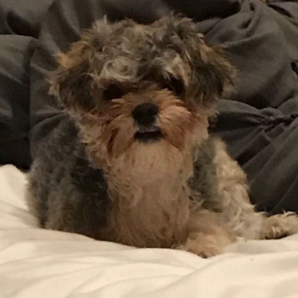 Profile Picture of *Julia* (@michaelnappo) on Tiktok