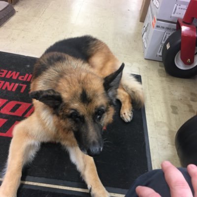 Profile Picture of Timothy Flemming (@tflemming24) on Twitter