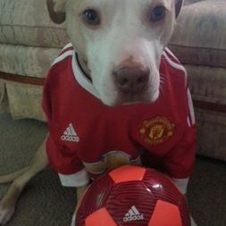 Profile Picture of Sean Jiménez (@seanjizz) on Twitter