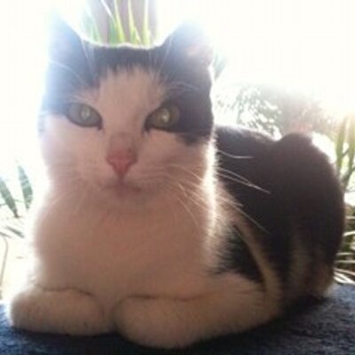 Profile Picture of Marc Ortlieb (@MarcOrtlieb) on Twitter