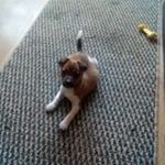 Profile Picture of William Cronin (@william.cronin.9028) on Instagram