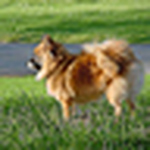 Profile Picture of Jb's World O Pics (@jb's world o pics) on Flickr
