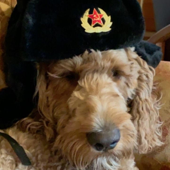 Profile Picture of davehoff33 (@davehoff33) on Tiktok
