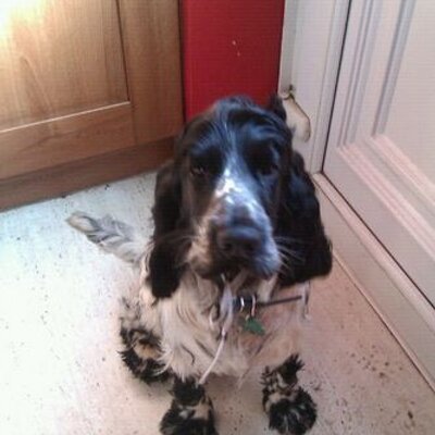 Profile Picture of Meghan Tobin (@TobinMeghan) on Twitter