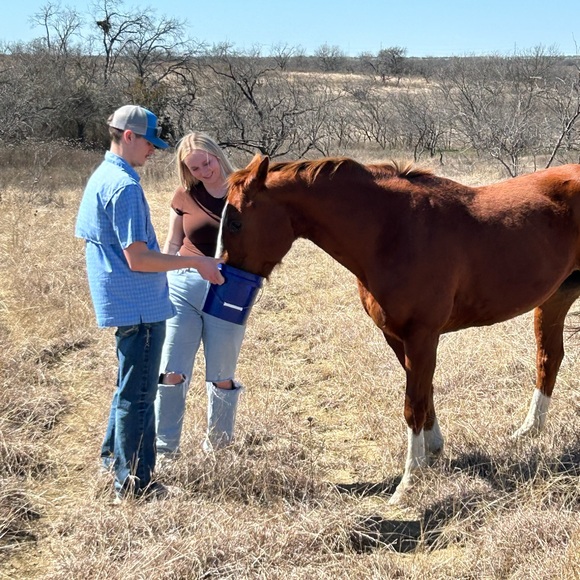 Profile Picture of Molly Brunow (@mbrunow) on Poshmark
