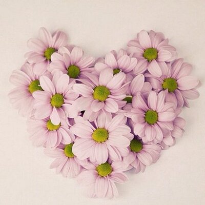 Profile Picture of Nancy Peng (@_nancypeng) on Twitter