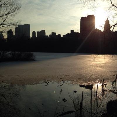 Profile Picture of Katherine Abrams (@restfulmissions) on Twitter