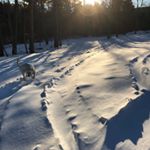 Profile Picture of Travis Raynor (@travis.rain.39) on Instagram