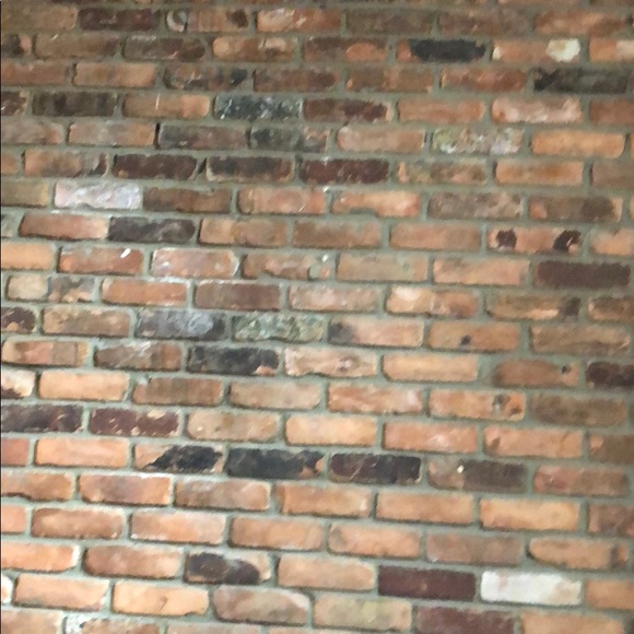 Profile Picture of David Farraj (@dnfarraj) on Poshmark