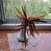 Profile Picture of Alexander Pasko (@dalmatinua) on Pinterest