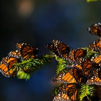 Profile Picture of Daniel Wonnacott (@daniel-wonnacott-1) on Quora