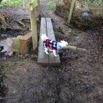 Profile Picture of Ellen Deer (@dexter1_) on Instagram