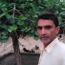 Profile Picture of Manzoor Hussain Gill (@Manzoor23429366) on Twitter