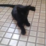 Profile Picture of Dustin. mcintyre (@dustin._mcintyre) on Instagram