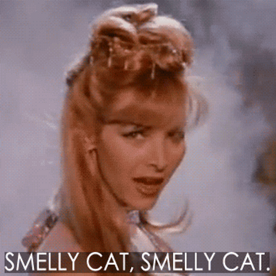 Profile Picture of Ashley Sommer (@iseeaharpoon) on Twitter