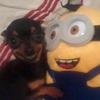 Profile Picture of Carlos Fox (@@superfoxito) on Tiktok