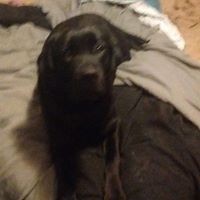 Profile Picture of Kate Black (@kate-black-19) on Quora